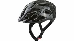 Alpina Panoma Classic