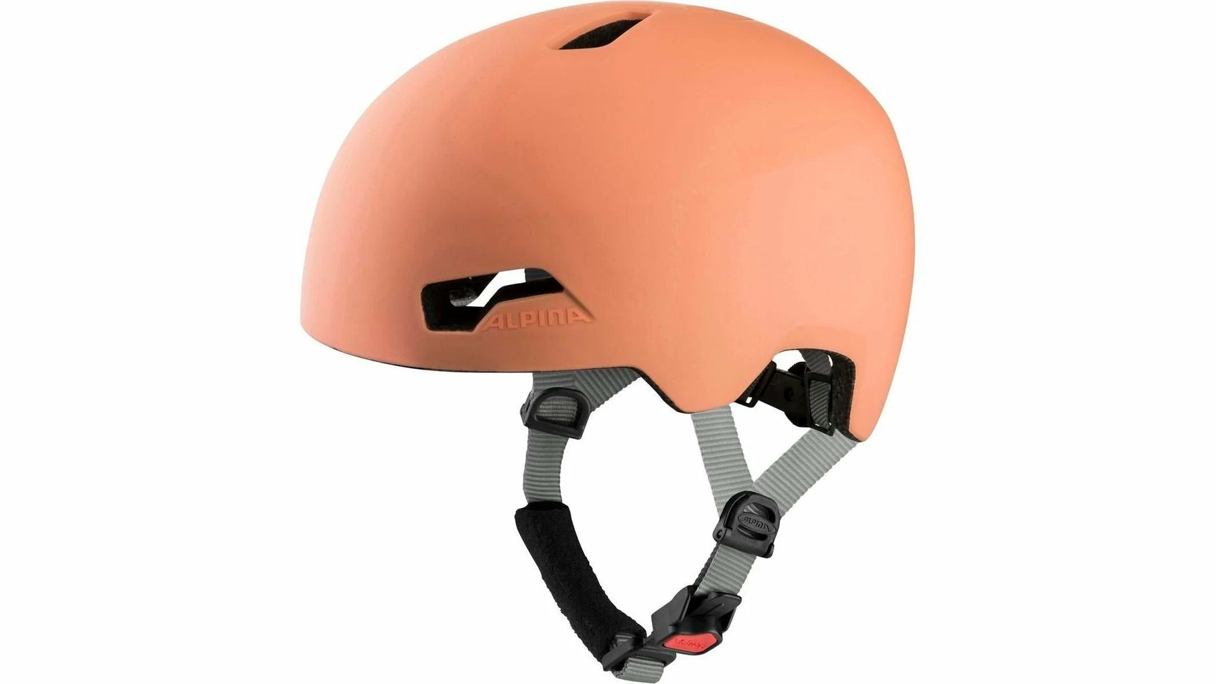 Alpina Hackney 17 Alpina Hackney – Bild 17