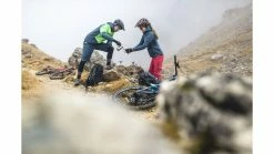 Vaude Men's Qimsa -Fahrradhosen Verkaufsladen az Vaude Mens Qimsa 9 siltbrown 216815